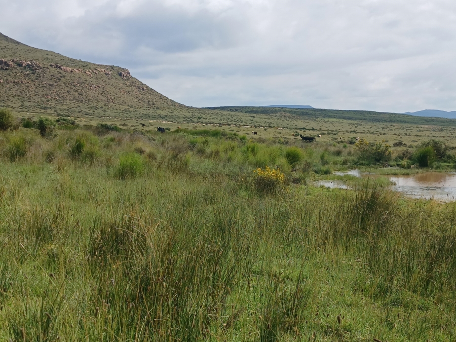 0 Bedroom Property for Sale in Richmond Rural Northern Cape